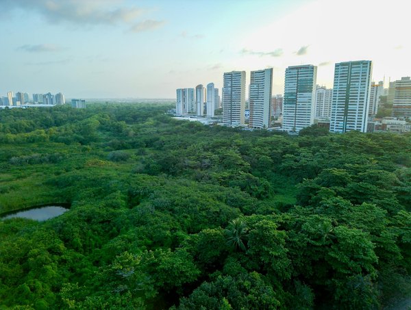 Carte grise à reims : démarches faciles et rapides