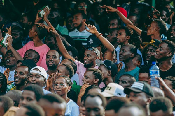 Découverte DVD : Les meilleures adresses pour trouver les nouveautés