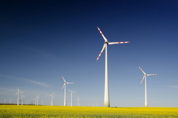 Les meilleures rénovations pour optimiser votre performance énergétique
